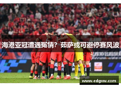 海港亚冠遭遇冤情？茹萨或可避停赛风波